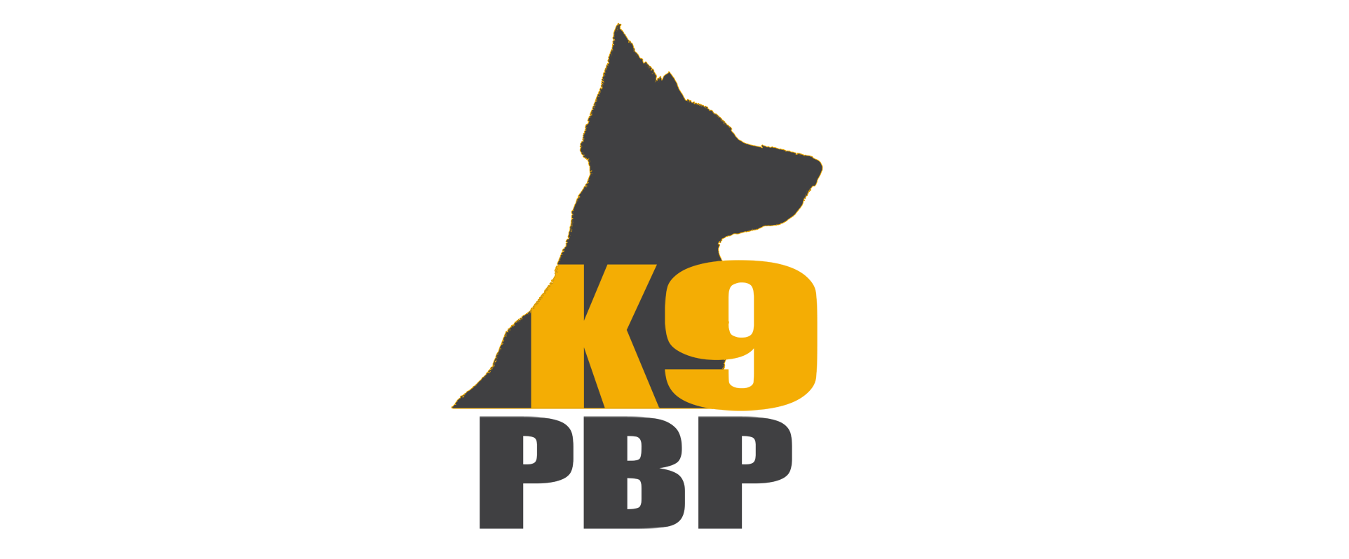 colaboracionk9